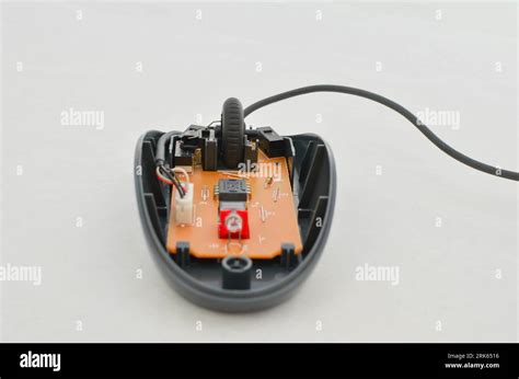 Image result for Open Computer Mouse