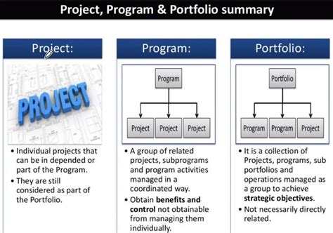 Image result for Differences Between Project Program Portfolio Management Office