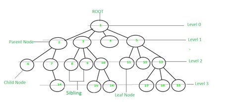 Image result for Fiber Tree Data Structure