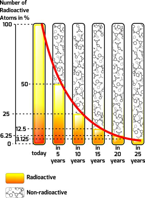 Image result for Exponential Decay