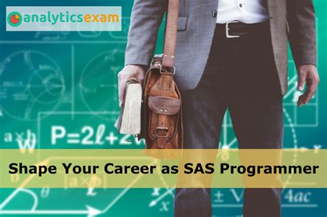 Image result for SAS Programmer