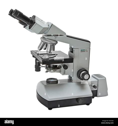 Image result for Modern Compound Light Microscope