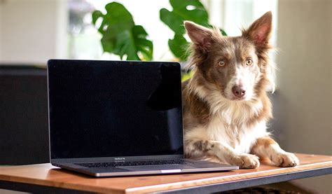 Color Text Animation CSS に対する画像結果