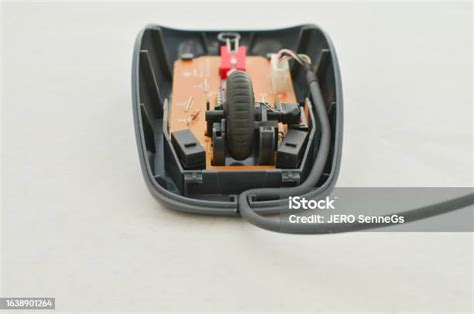 Image result for Open Computer Mouse
