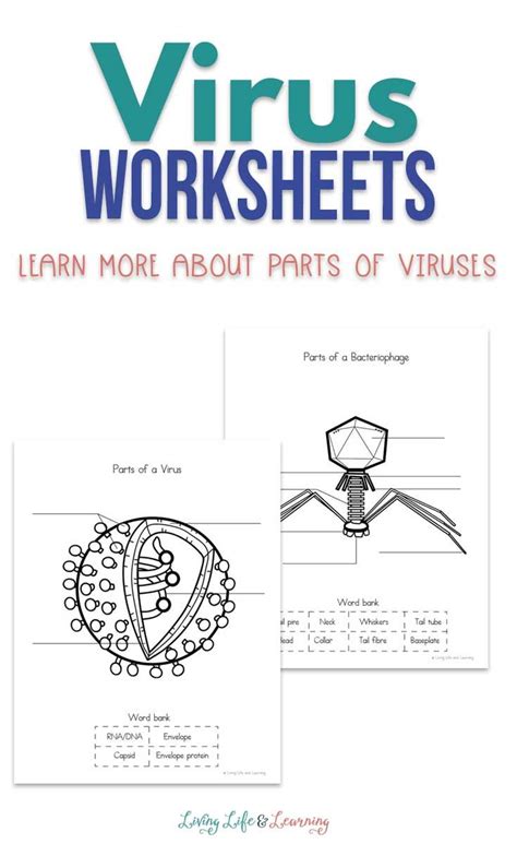 Image result for Virus Computer Worksheet Grade 4