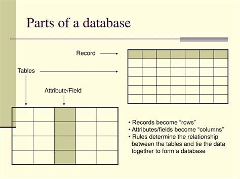 Image result for Database Table Components