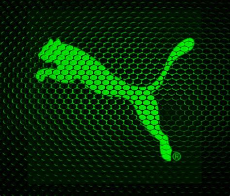 Green Python Soccer Logo に対する画像結果