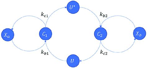 Graphical Representation of an Equation に対する画像結果