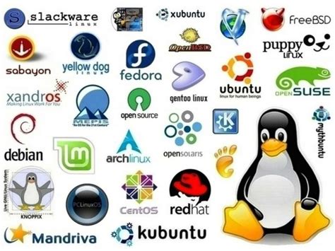Image result for Linux Software Version