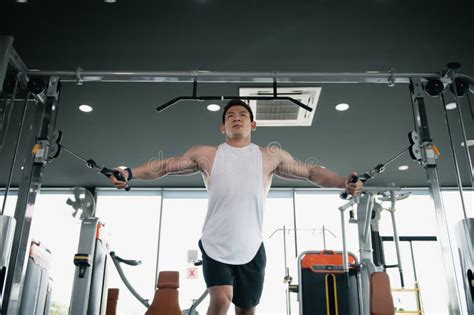 Cable Tricep Exercises に対する画像結果