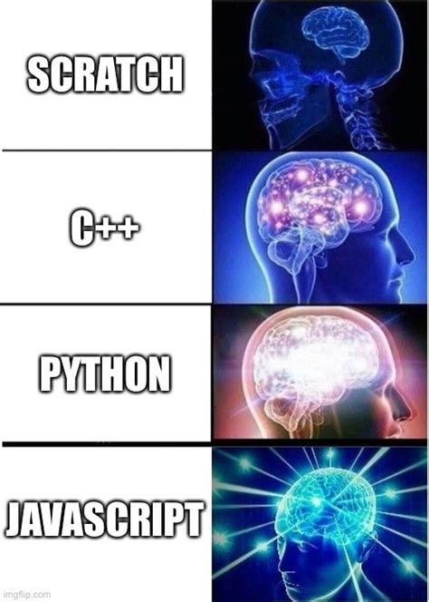 Toradh íomhá ar Java vs Python Meme