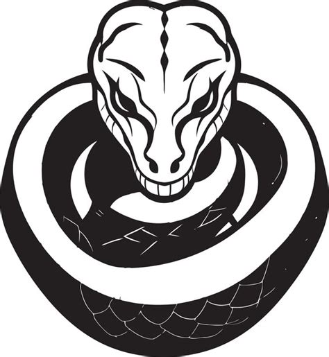 Image result for Python Vector Art