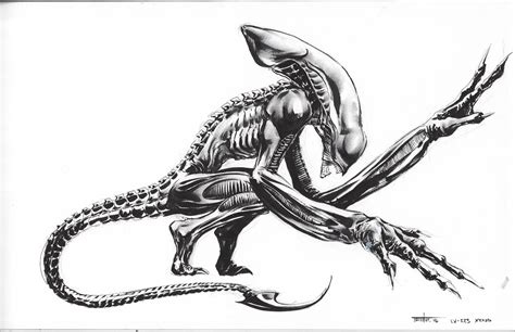 Image result for Xenomorph Alien Original Art