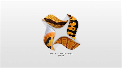 Image result for Letter Z Ball Python Logo