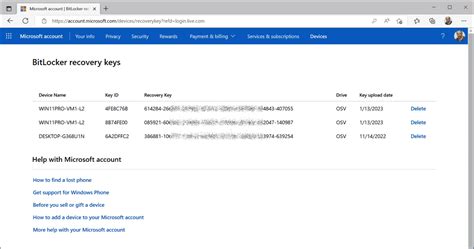 Toradh íomhá ar BitLocker Key ICO File