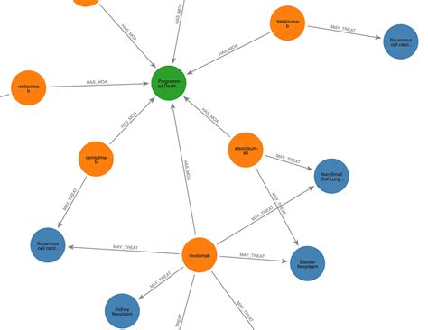 Image result for Graph Database Visualization