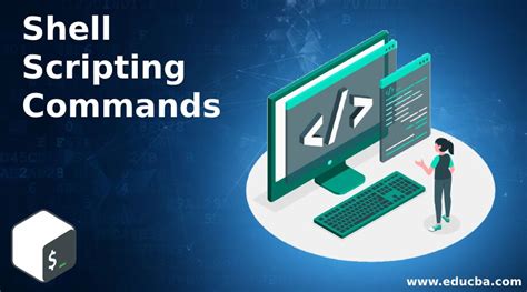 What Is Shell Scripting に対する画像結果