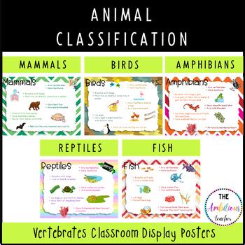 Animal Classification Poster に対する画像結果