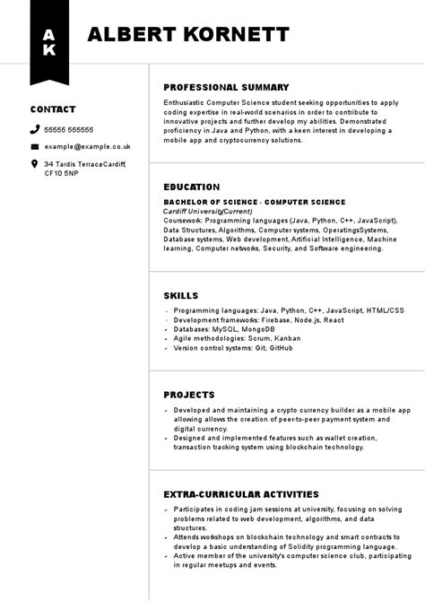 Image result for Student CV Examples