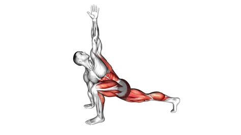 Image result for Cable Tricep Exercises