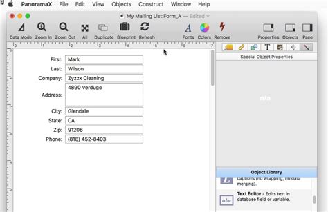Toradh íomhá ar Address Data Entry Form