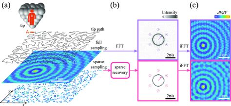 Image result for Sparse Sampling