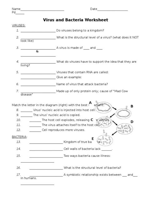 Image result for Virus Worksheet.pdf