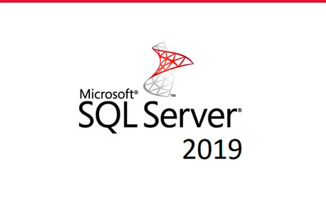 MS SQL Server に対する画像結果