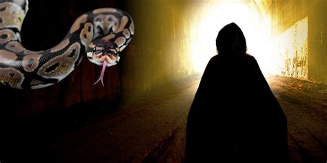 Image result for Python Spirit