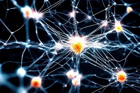 Image result for Neural Network Visual