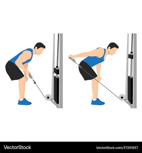 Cable Tricep Exercises に対する画像結果