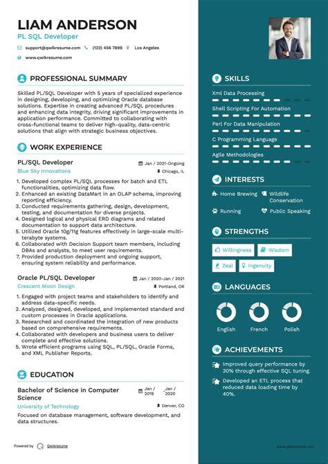 SQL Developer Job Resume に対する画像結果