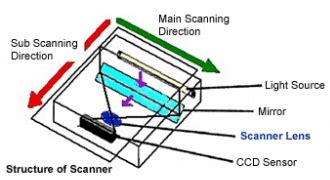 Image result for Labelled Diagram of Scanner Input Device