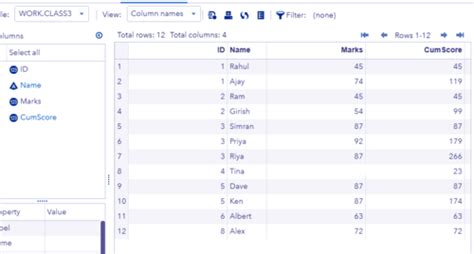 Image result for SAS Data Step Example