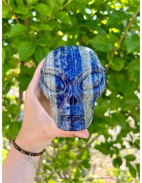 Image result for Alien Schedel