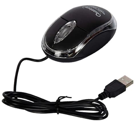 Image result for Mouse Input Device Explained CBSE