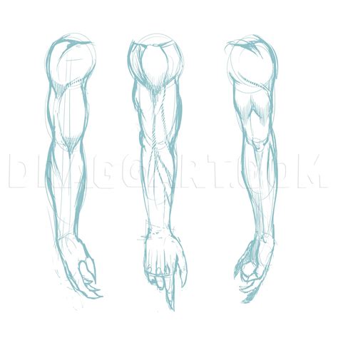 Résultat d’images pour Back Muscles Drawing Arms