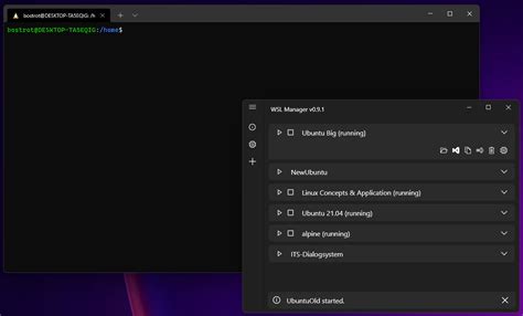 Toradh íomhá ar WSL2 GUI Manager