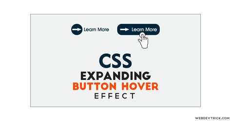 Image result for CSS Hover Icon