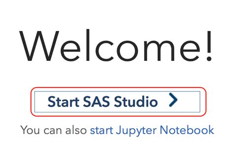 Image result for SAS Example