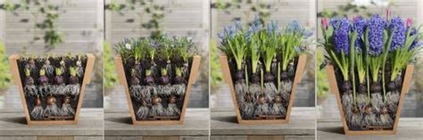 Toradh íomhá ar Spring Planting Plan Layered