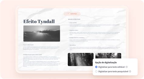 Image result for Programas Editor PDF