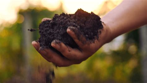 Organic Fertilizer Examples に対する画像結果