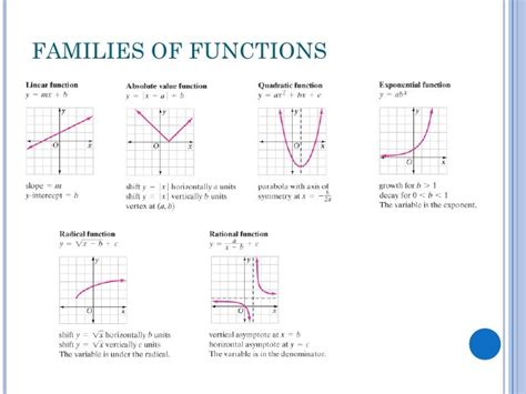 Image result for Function Families Explained