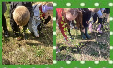 Hedgerow Planting Guide に対する画像結果