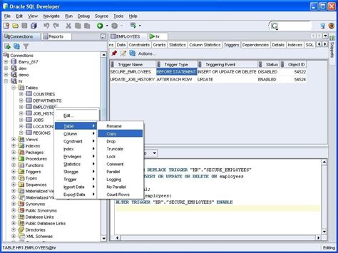Image result for SQL Developer Tool