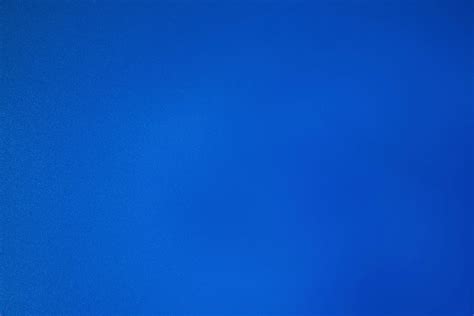 Résultat d’images pour Blue Spring Wildflowers