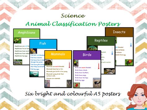 Animal Classification Poster に対する画像結果