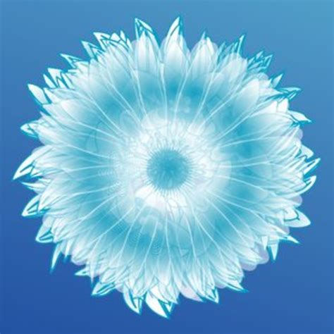 Image result for Colorful Flowers Vector