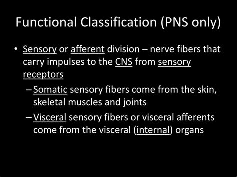 Image result for Flow Chart of Classification of PNS